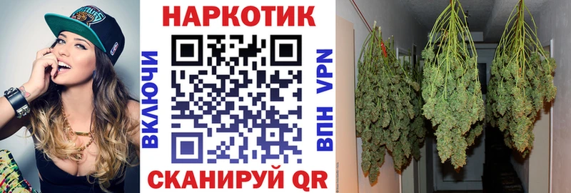 Где купить Бодайбо Гашиш  блэк спрут ссылки  МЕФ  СОЛЬ  Амфетамин  Метамфетамин 