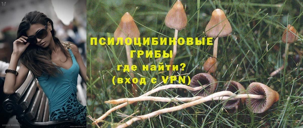 трава Новокубанск
