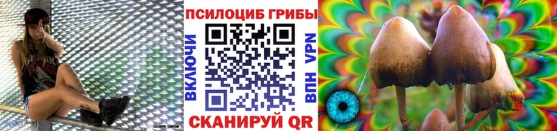 купить закладку  Бодайбо  Галлюциногенные грибы MAGIC MUSHROOMS 